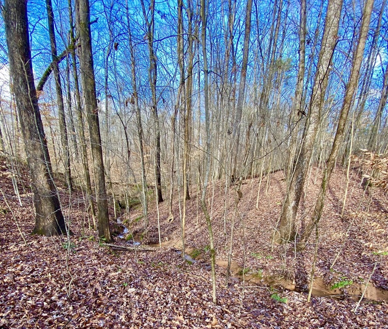 4142 Topsail Ridge, Gainesville, GA 30506 - photo 1