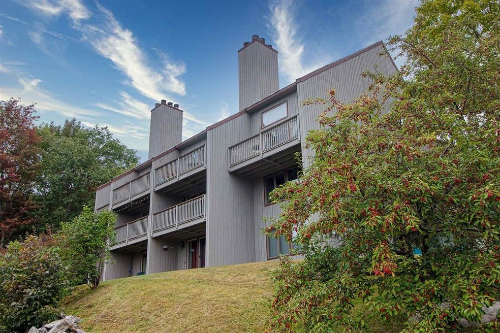 17 Snow Tree Ln unit I- Ledges, Dover, VT 05356 - photo 1