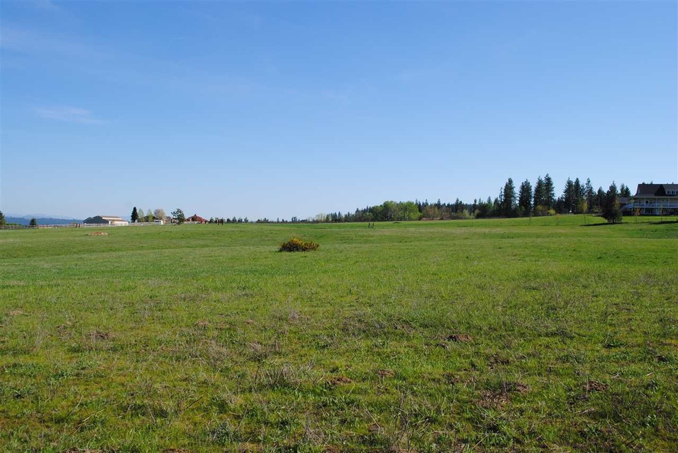 916 E Chattaroy Rd, Colbert, WA 99005 - photo 1