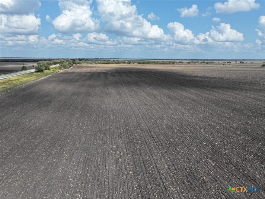 TBD Texas 359, Skidmore, TX 78389 - photo 1