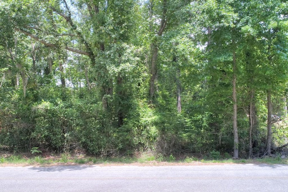 0 Mill Branch Rd, Warwick, GA 31796 - photo 1