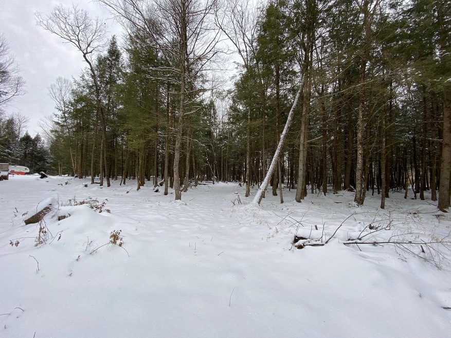 146 Kays Way unit 1-5, Cambridge, VT 05444 - photo 1