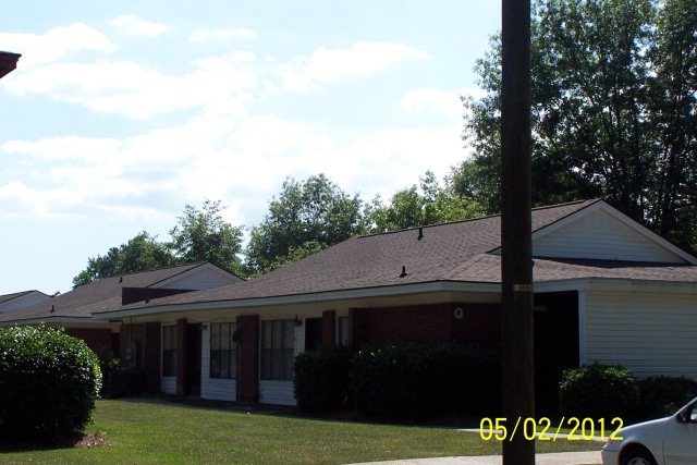 Main View