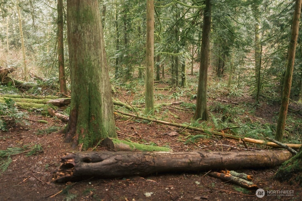 0 Lopez St, Bellingham, WA 98229 - photo 1