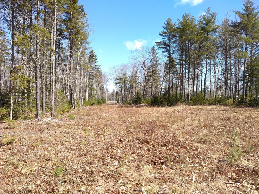Lot 4 - 4