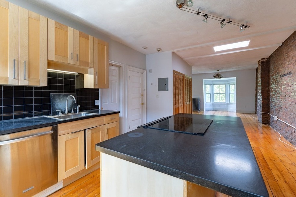 29 E Concord St unit 4, Boston, MA 02118 - photo 1