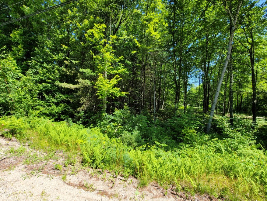 0 Shady Nook Rd unit 1503497, Newfield, ME 04095 - photo 1