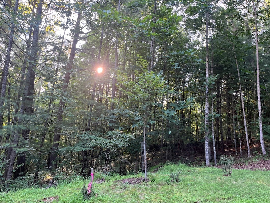 TBD Cranberry Creek Rd unit 15, Laurel Springs, NC 28644 - photo 1