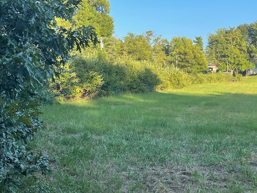 9999 N 3rd St, Vandervoort, AR 71972 - photo 1