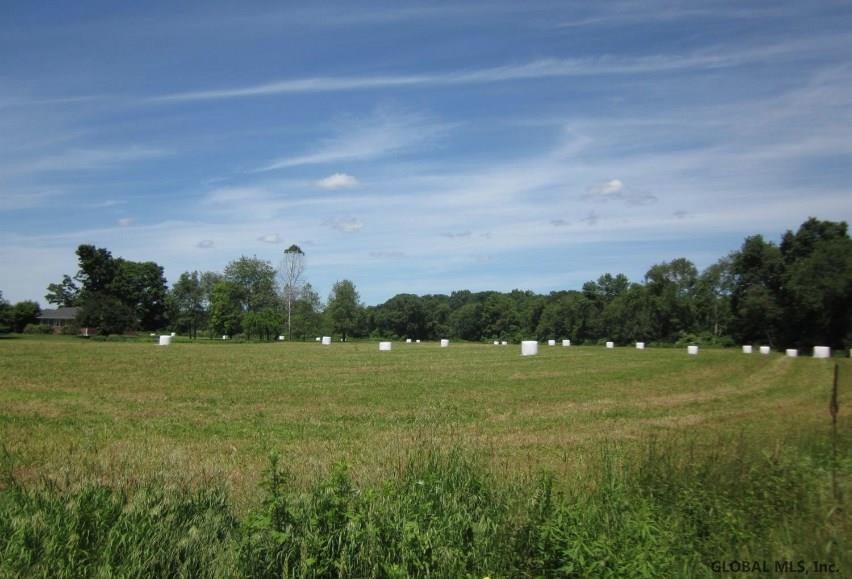 0 Wiltsie Bridge Rd unit 201922866, Ancram, NY 12502 - photo 1