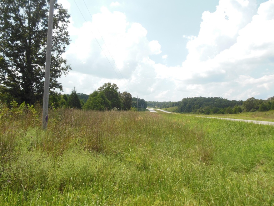 Highway 60 View