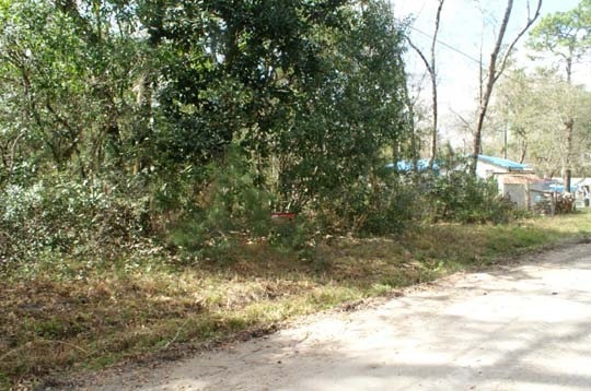 0 Chippewa Rd unit 278477, Crawfordville, FL 32327 - photo 1