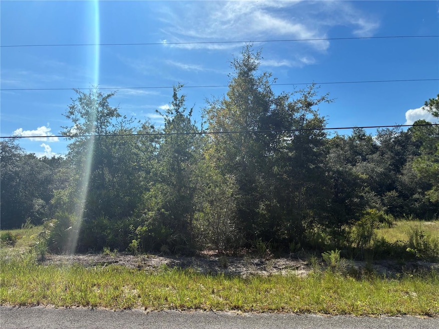 0 SW South Wind Ct unit MFROM709010, Dunnellon, FL 34431 - photo 1