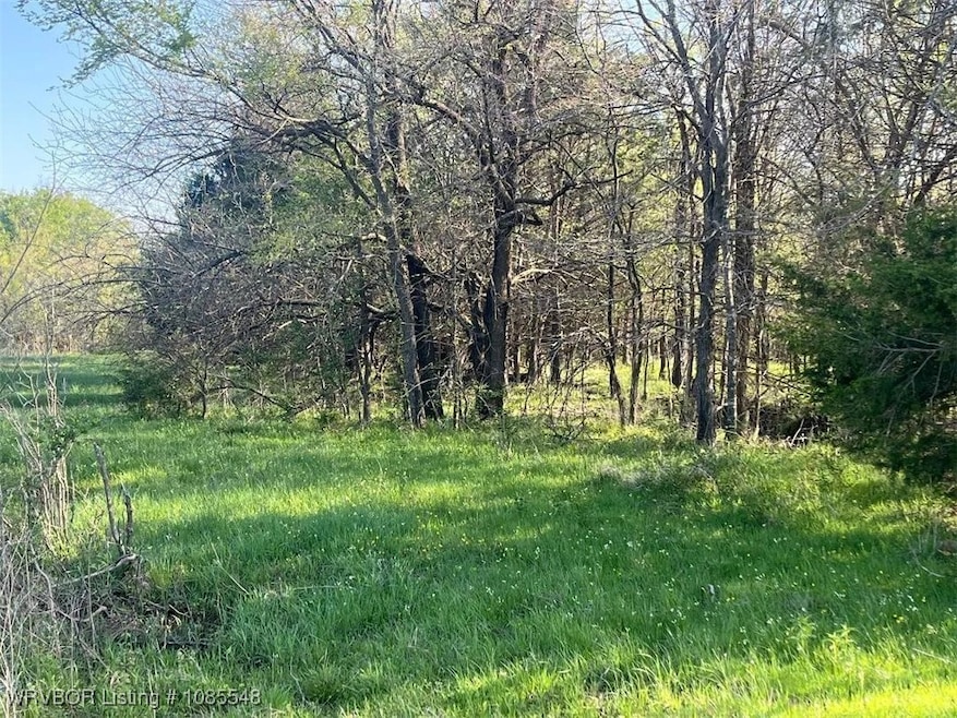 Tract 4 E 1290 Rd, McCurtain, OK 74944 - photo 1