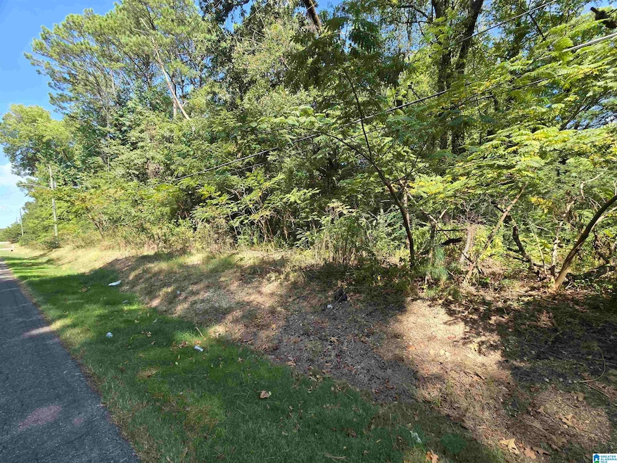 9601 Bryant Ave, Birmingham, AL 35217 - photo 1