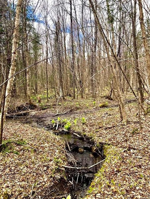 237 Ridge Rd, Stewartstown, NH 03576 - photo 1