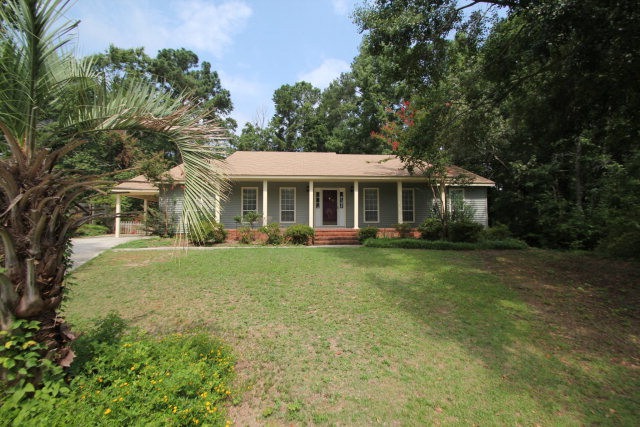 Main View