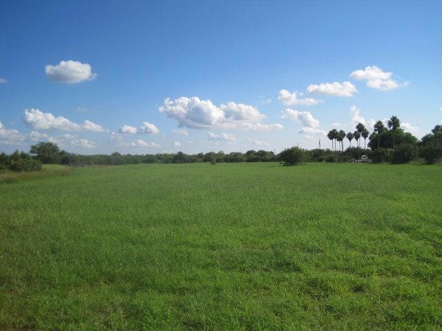 00 W Business 83, Weslaco, TX 78596 - photo 1