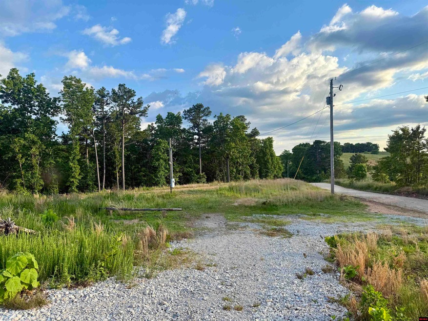 7958 Mc 6061, Flippin, AR 72634 - photo 1