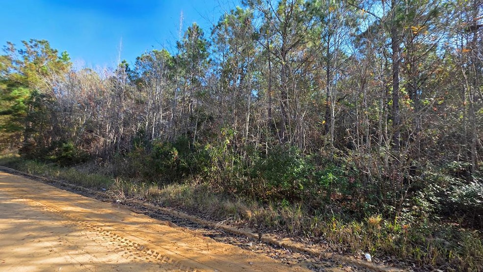 0 Primrose Rd, Fitzgerald, GA 31750 - photo 1