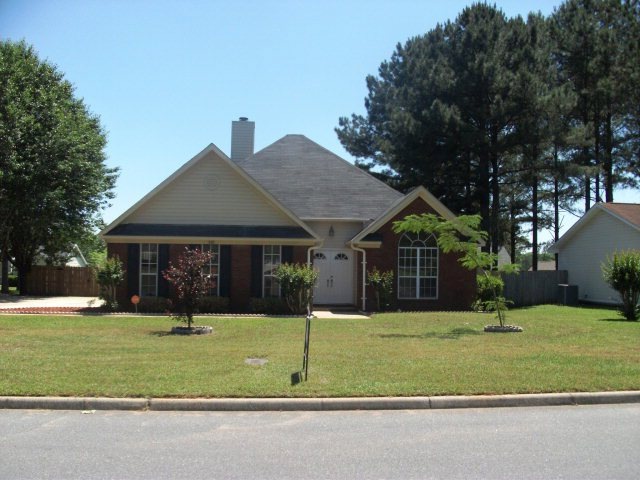 Main View