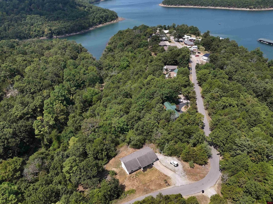 96 Westview Rd, Midway, AR 72651 - photo 1