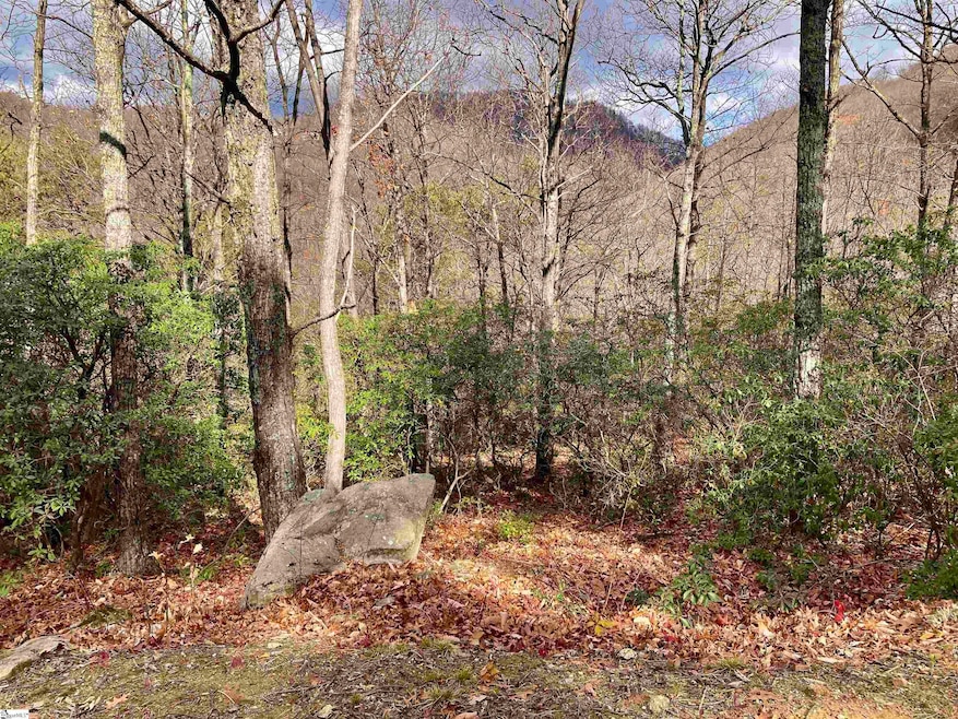 901 Mountain Summit Rd, Travelers Rest, SC 29690 - photo 1