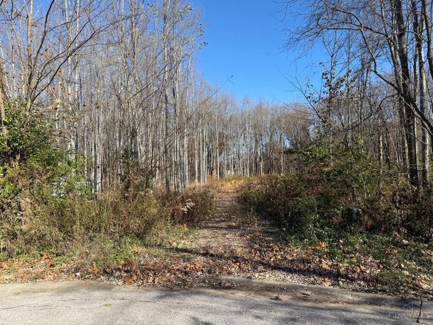 3498 Winter Holly Dr, Batavia Township, OH 45102 - photo 1