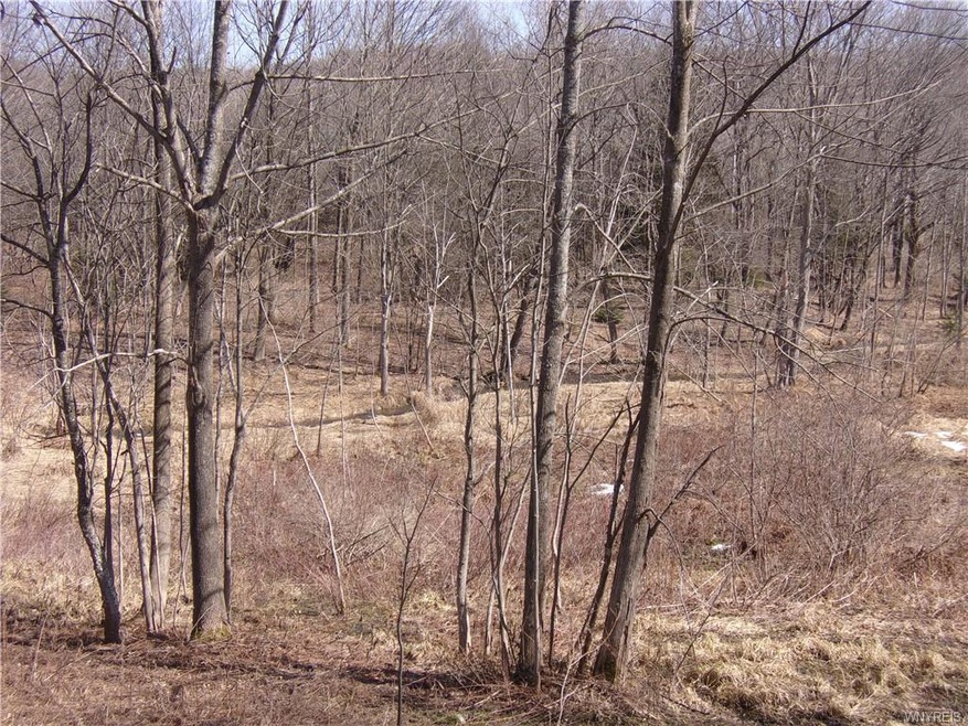 7481 Robinson Rd, Arcade, NY 14009 - photo 1