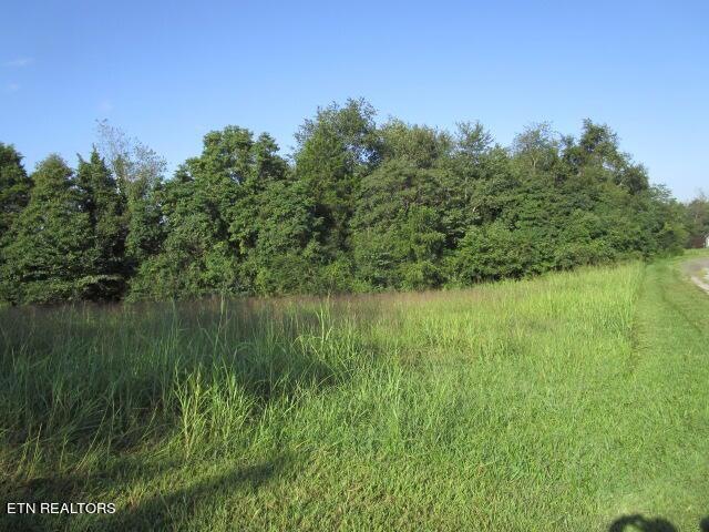 0 Doyle Ogan Ln, Rutledge, TN 37861 - photo 1