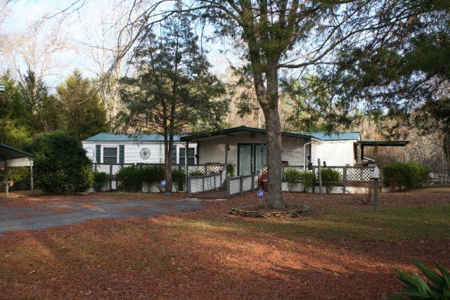 Main View