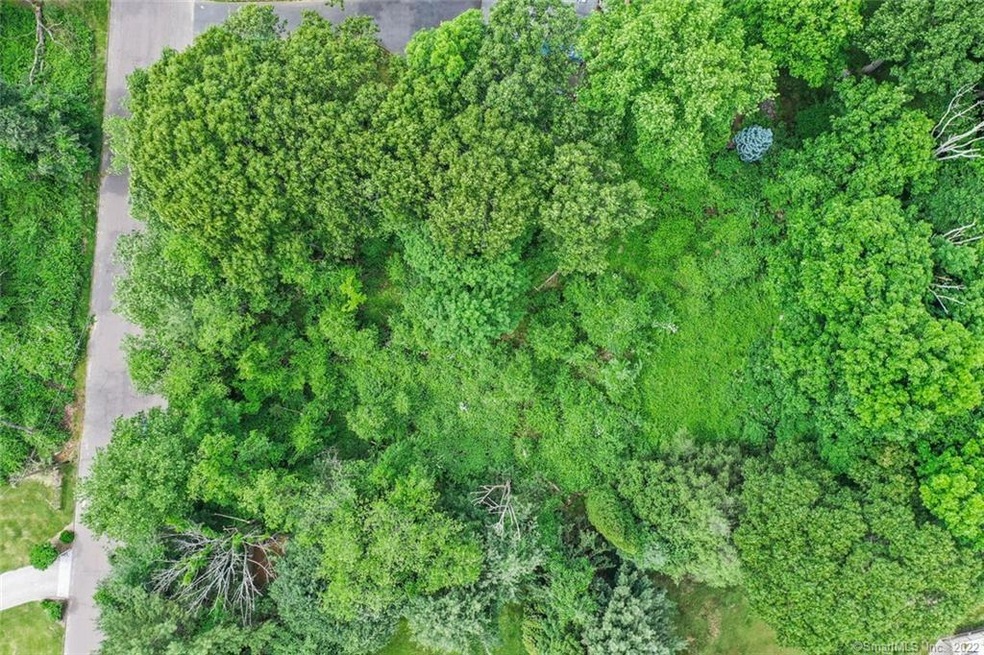 11 Cotton Tail Trail, Trumbull, CT 06611 - photo 1