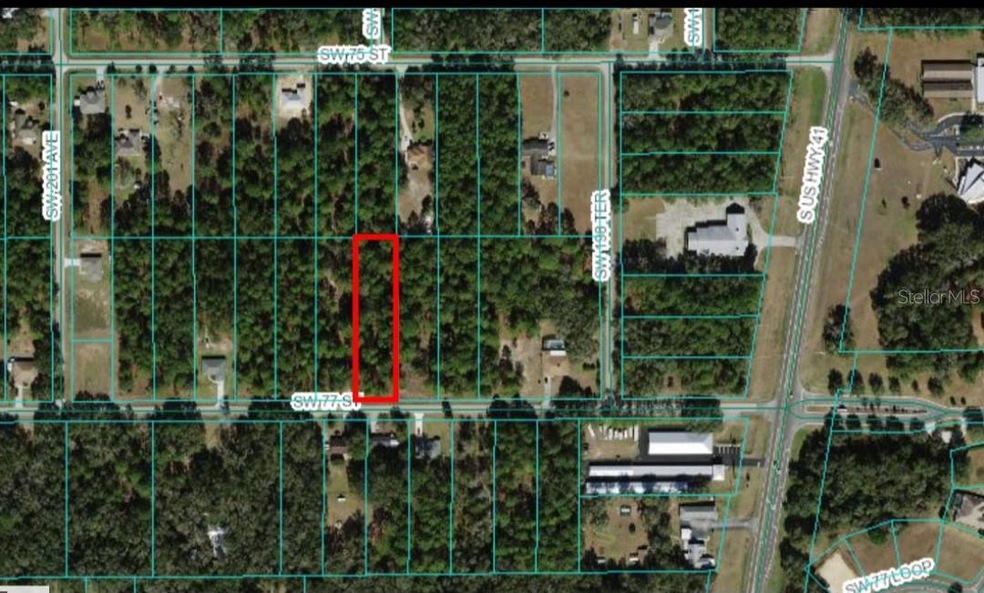 TBD SW 77th St, Dunnellon, FL 34432 - photo 1