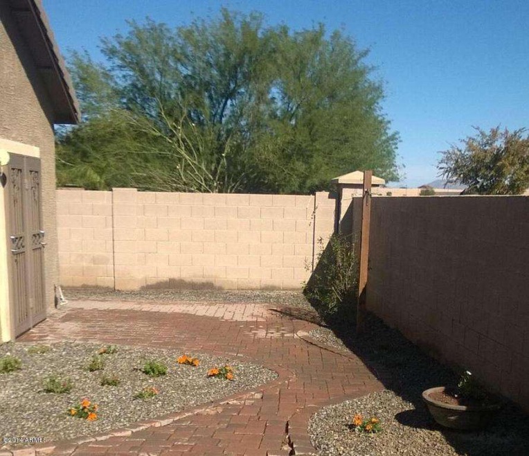 Back yard