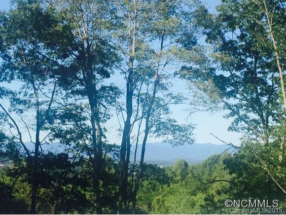 11 Balsamwood Dr, Leicester, NC 28748 - photo 1