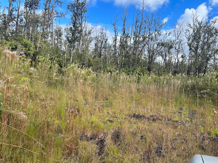 0 Ohialani Rd unit 723524, Volcano, HI 96785 - photo 1