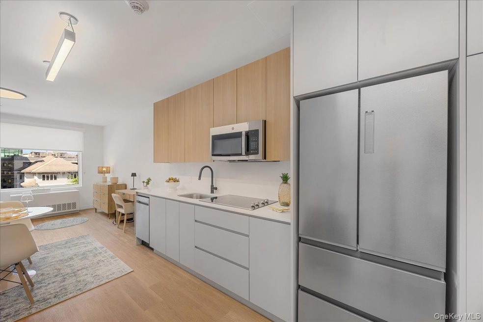 8 Chester Ave unit 309, White Plains, NY 10601 - photo 1