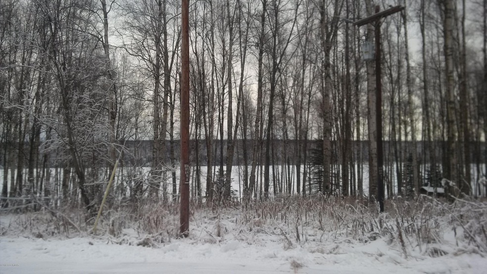 Cheri Lake view