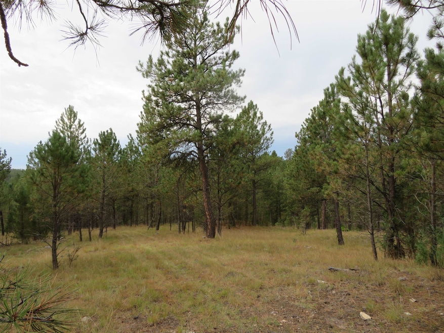 TBD Lot 34B Hombre Trail unit TBD Lot 34B, Crazy Horse, SD 57730 - photo 1