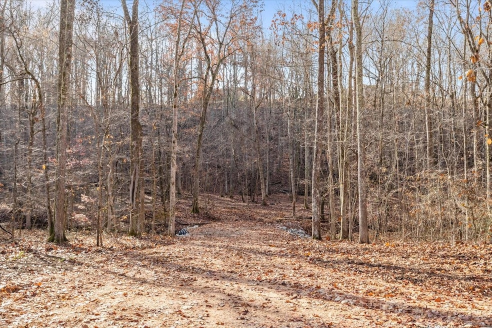 0 Rustling Oaks Dr, Waverly, TN 37185 - photo 1