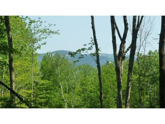 0 Goose Hollow Rd unit 4168452, Thornton, NH 03285 - photo 1