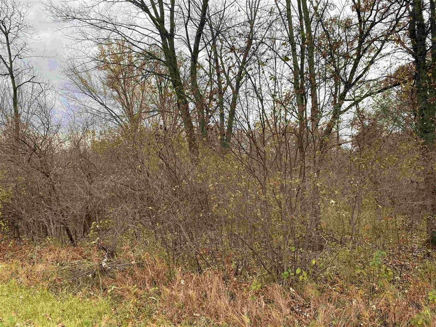 40 Acres Dragonfly Rd, Tomah, WI 54660 - photo 1