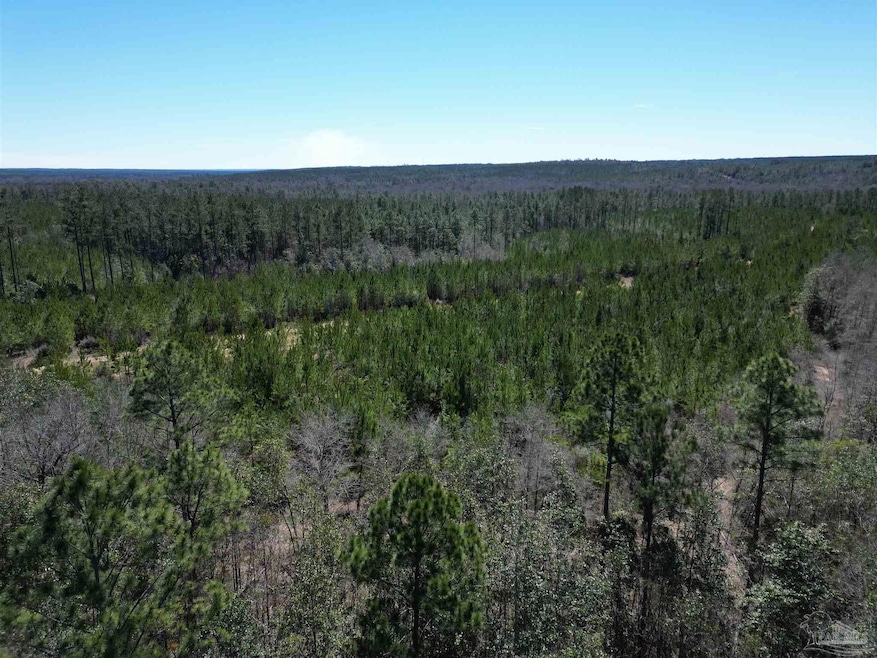 09 Robinsonville Rd, Atmore, AL 36502 - photo 1