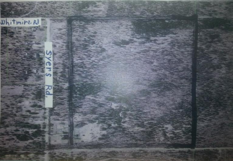 Primary Photo