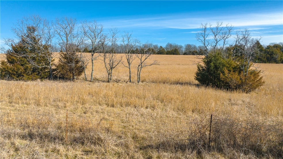 17344 Bethlehem Rd, Winslow, AR 72959 - photo 1