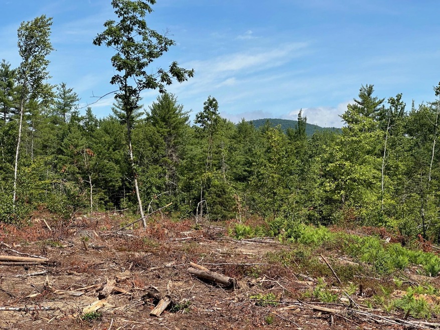 00 New Hampshire 153, Effingham, NH 03882 - photo 1