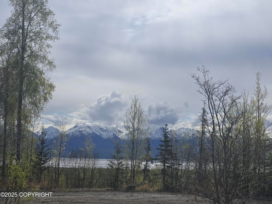 7503 S Knik Goose Bay Rd, Wasilla, AK 99654 - photo 1