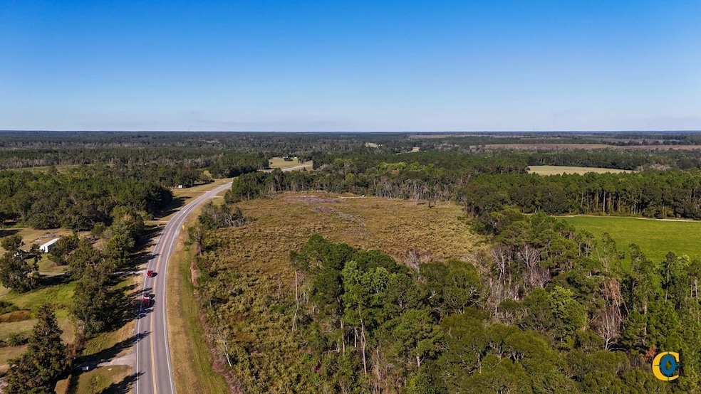 County Road 121, Jacksonville, GA 31544 - photo 1