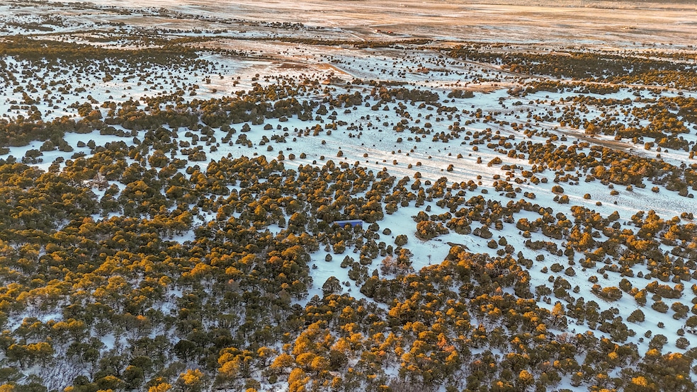 dji_fly_20250124_165512_0888_17377634874