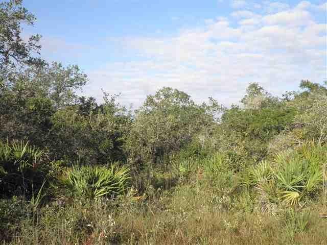 0 Yates Creek Rd unit 1 219757, Perry, FL 32348 - photo 1